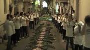 III-ed-Infiorata-Termitana-flash-mob-e-corteo-storico