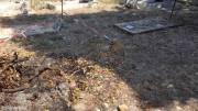 Le-immagini-dei-rifiuti-bruciati-sulle-tombe-al-cimitero-di-Termini-Imerese
